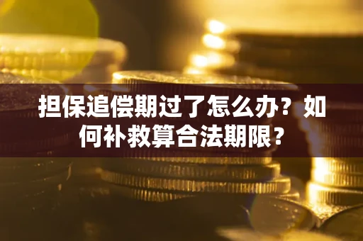 北京担保追偿期过了怎么办？如何补救算合法期限？