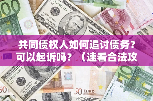 北京共同债权人如何追讨债务？可以起诉吗？（速看合法攻略）